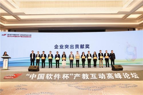 第九届“中国软件杯”大赛总决赛暨2020中国软件产教互动高峰论坛圆满落幕，赛事咨询及活动策划助力产学研深度融合
