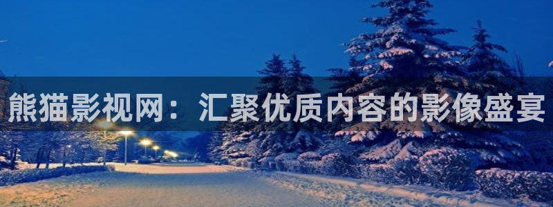 金牌影视大全：熊猫影视网：汇聚优质内容的影像盛宴