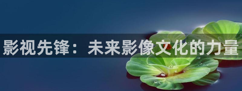 金牌销售电影免费观看全集高清