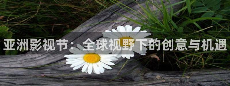 金牌影院官网首页：亚洲影视节：全球视野下的创意与机遇