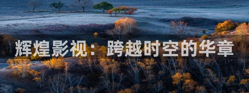 金牌影视剧免费入口：辉煌影视：跨越时空的华章