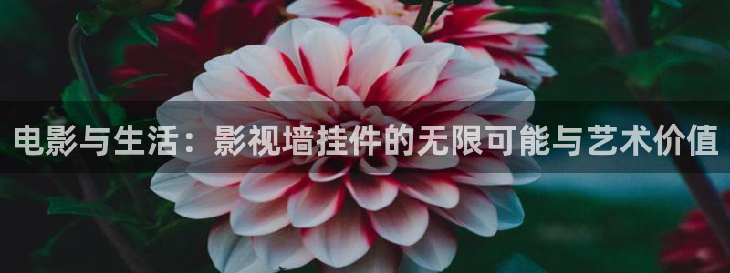 金牌影院免费观看电视剧在线观看：电影与生活：影视墙挂件的无限可能与艺术价值