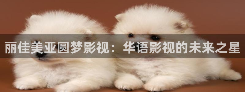 你比星光美丽电视剧免费观看金牌影院