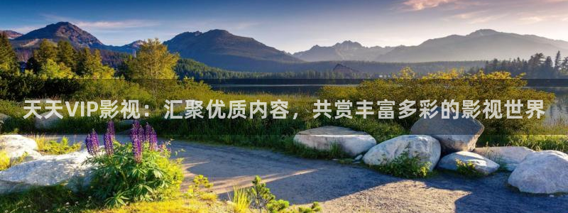 金牌影院入口官网