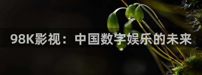 金牌影院免费