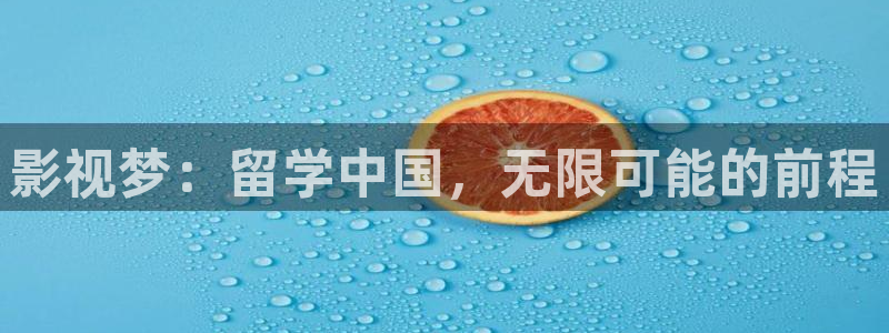 金牌影视在线观看免费高清