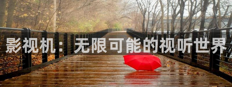 大梦归离金牌影院：影视机：无限可能的视听世界