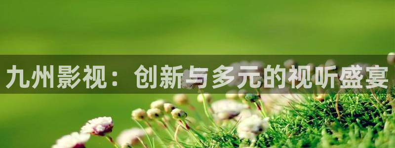 锦绣安宁金牌影视