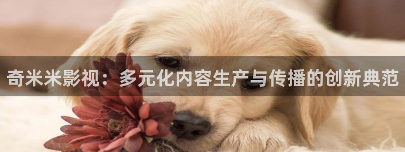 金牌影视官网：奇米米影视：多元化内容生产与传播的创新典范