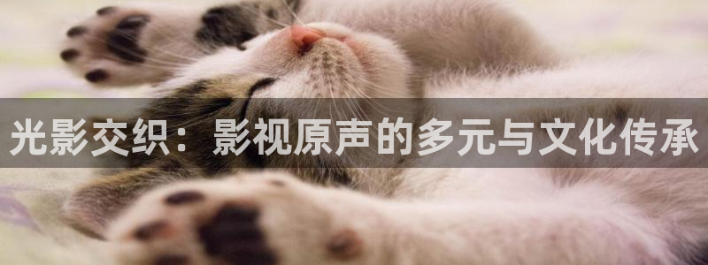 金牌影院免费